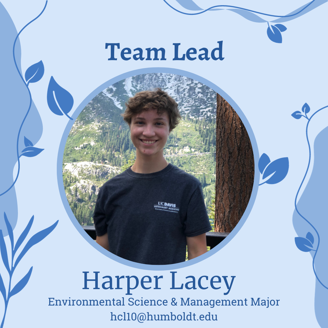 This photo of Harper Lacey, Green Campus Team Lead, majoring in Environmental Science and Management, email is hcl10@humboldt.edu